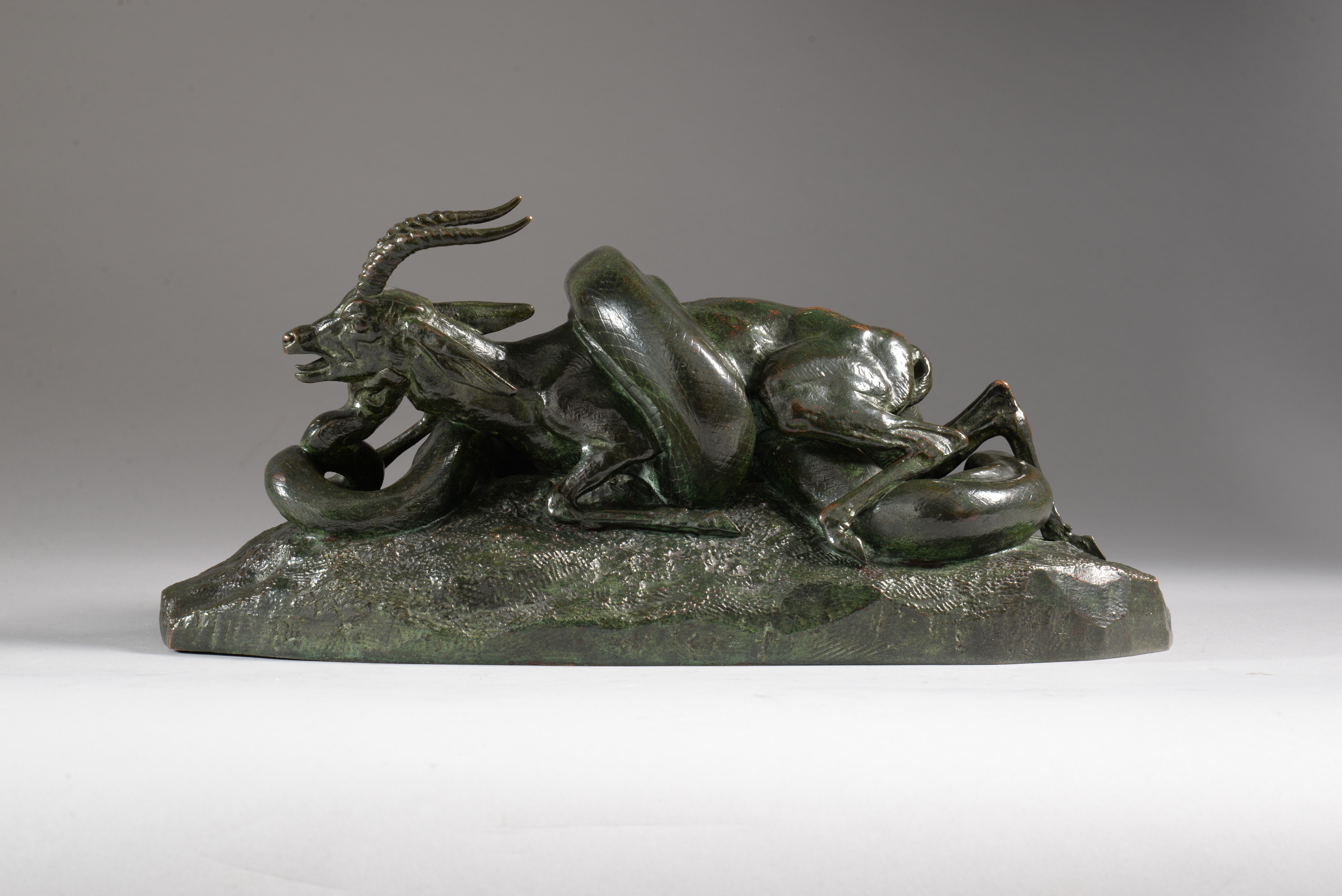 PYTHON ENLAÇANT UNE GAZELLE (1841)